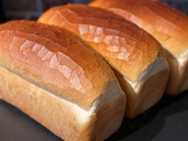 Wit brood