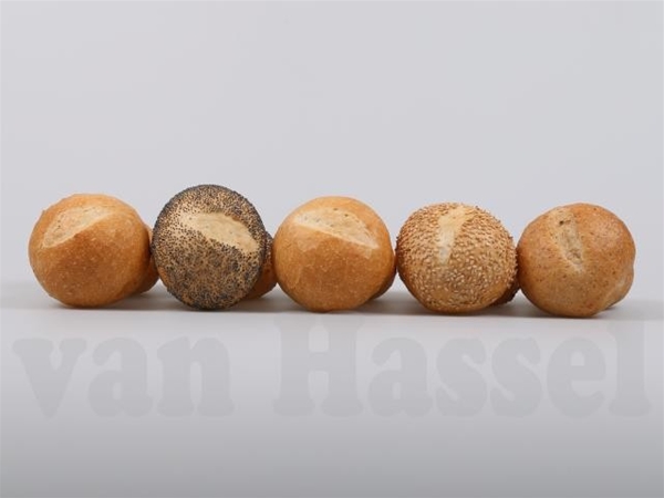 HARDE GESORTEERDE MINI BROODJES (10)