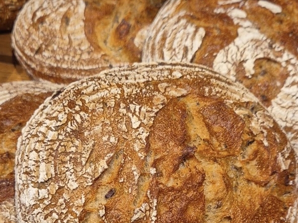 Desem, rogge brood